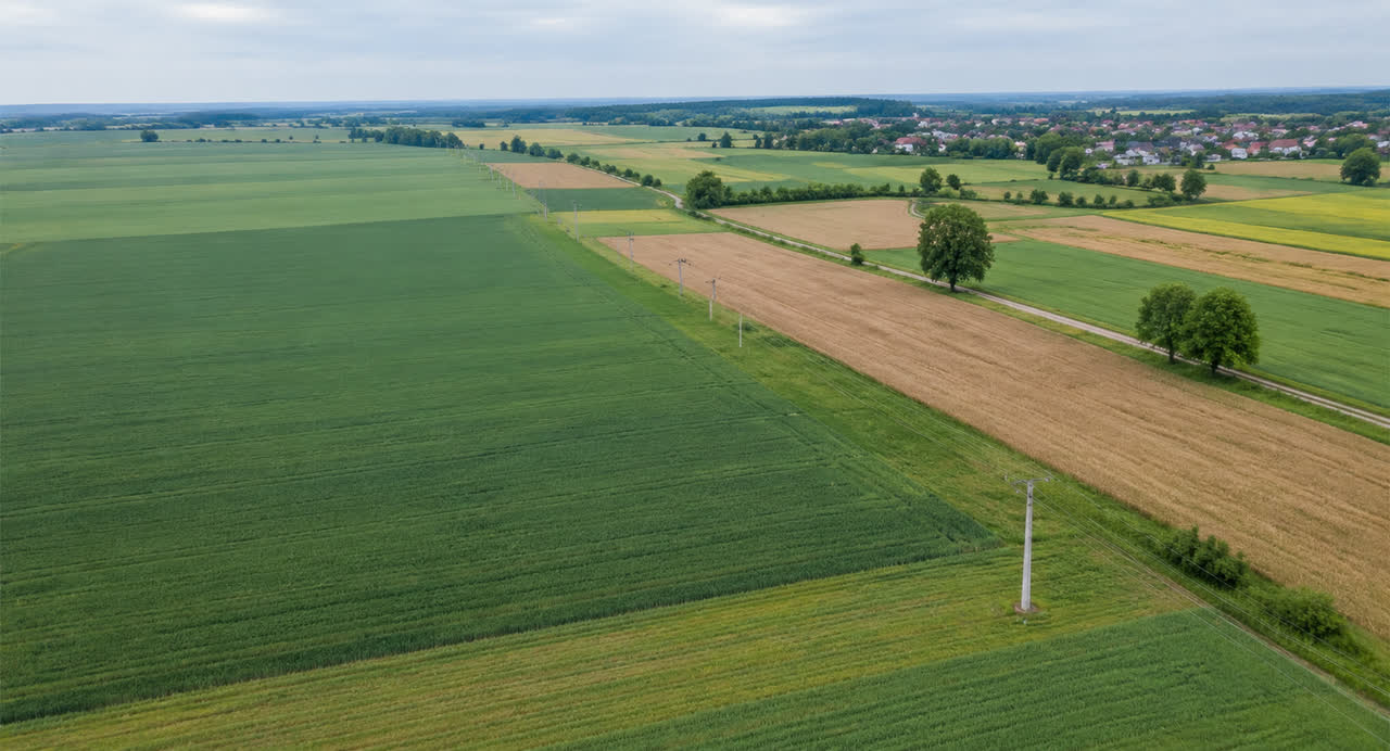 Pola uprawne z linią słupów energetycznych widziane z lotu ptaka